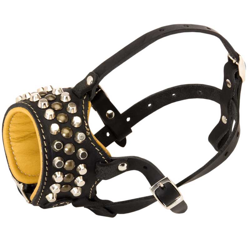 Posh Handmade Leather Dogue de Bordeaux Muzzle with Studs and Cones