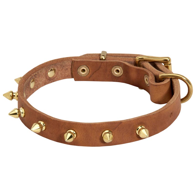 Walking Designer Leather Dogue de Bordeaux Collar with Brass Spikes