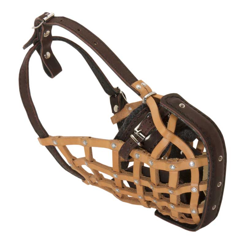 Leather Basket-Like Dogue de Bordeaux Muzzle for Attack Training