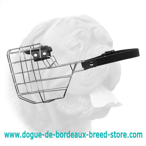 'The Silencer' Wire Cage Dogue de Bordeaux Muzzle With One Strap
