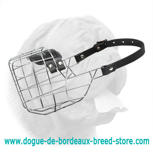 'The Silencer' Wire Cage Dogue de Bordeaux Muzzle With One Strap