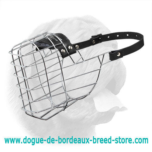'The Silencer' Wire Cage Dogue de Bordeaux Muzzle With One Strap