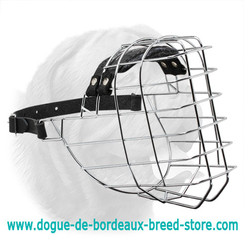 'The Silencer' Wire Cage Dogue de Bordeaux Muzzle With One Strap