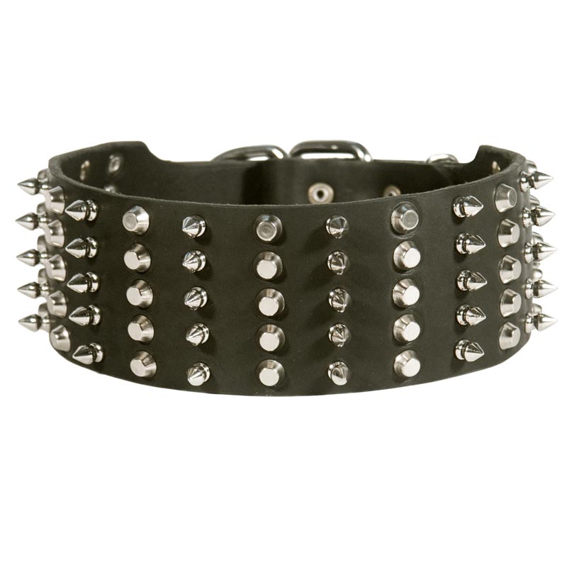Dogue de Bordeaux Leather Collar Spiked and Studded