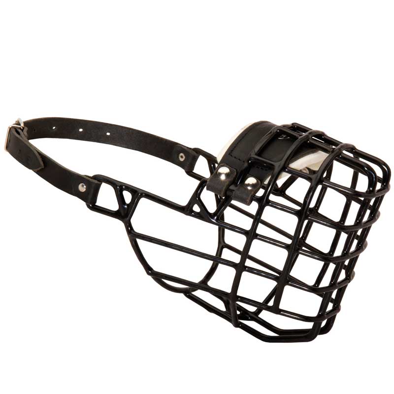 Frost-Resistant Wire Cage Dogue de Bordeaux Muzzle with One Adjustable Strap