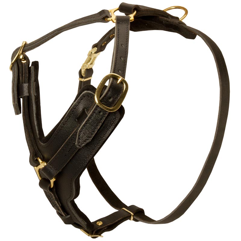 Padded Leather Dogue de Bordeaux Harness for Agitation Training