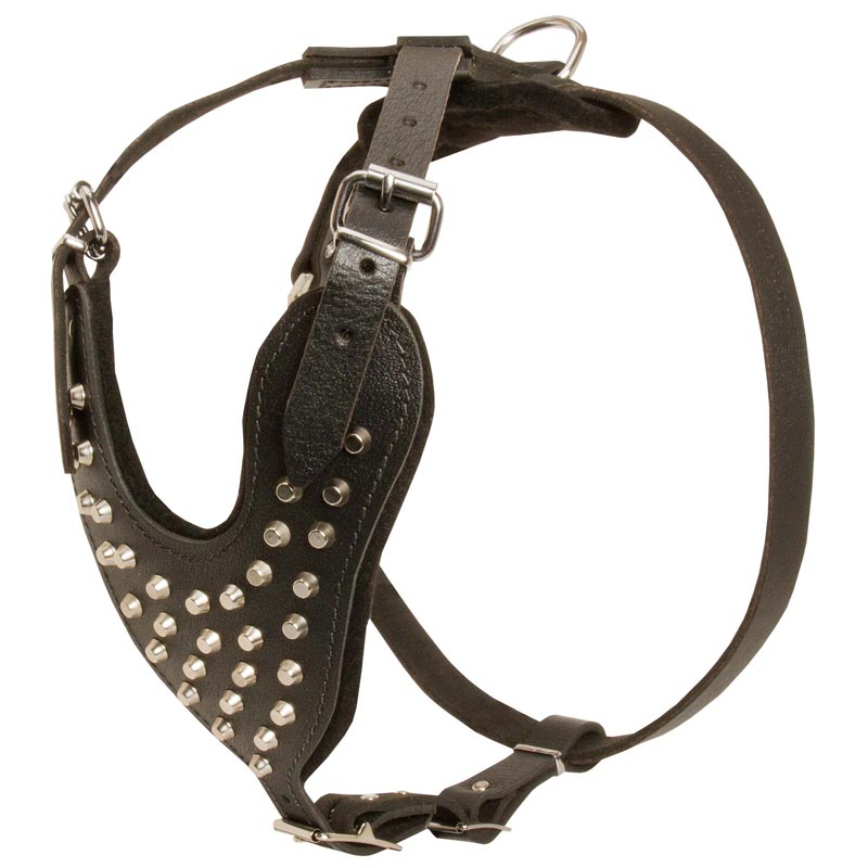 Adjustable Leather Dogue de Bordeaux Harness Studded for Fashion Walking