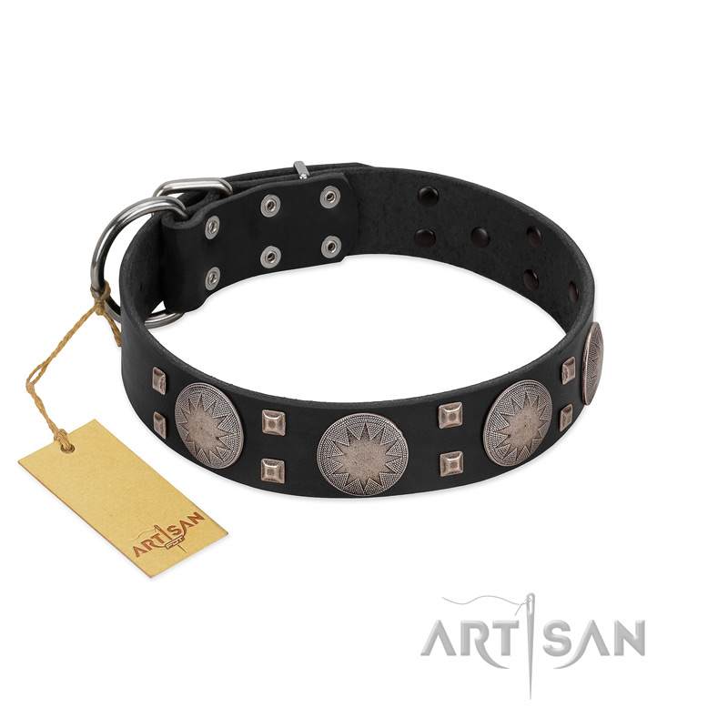 "Sun in Shining" Modern FDT Artisan Black Leather Dogue de Bordeaux Collar with Studs and Stars