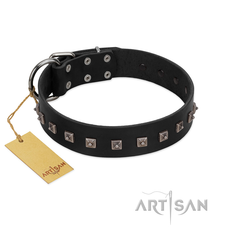 "Natural Beauty" Premium Quality FDT Artisan Black Designer Dogue de Bordeaux Collar with Dotted Studs