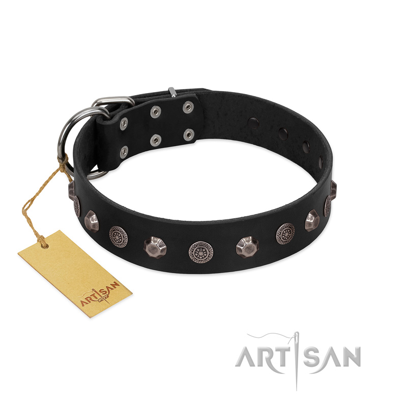 "Black Knight" Handmade FDT Artisan Black Leather Dogue de Bordeaux Collar with Silver-Like Studs