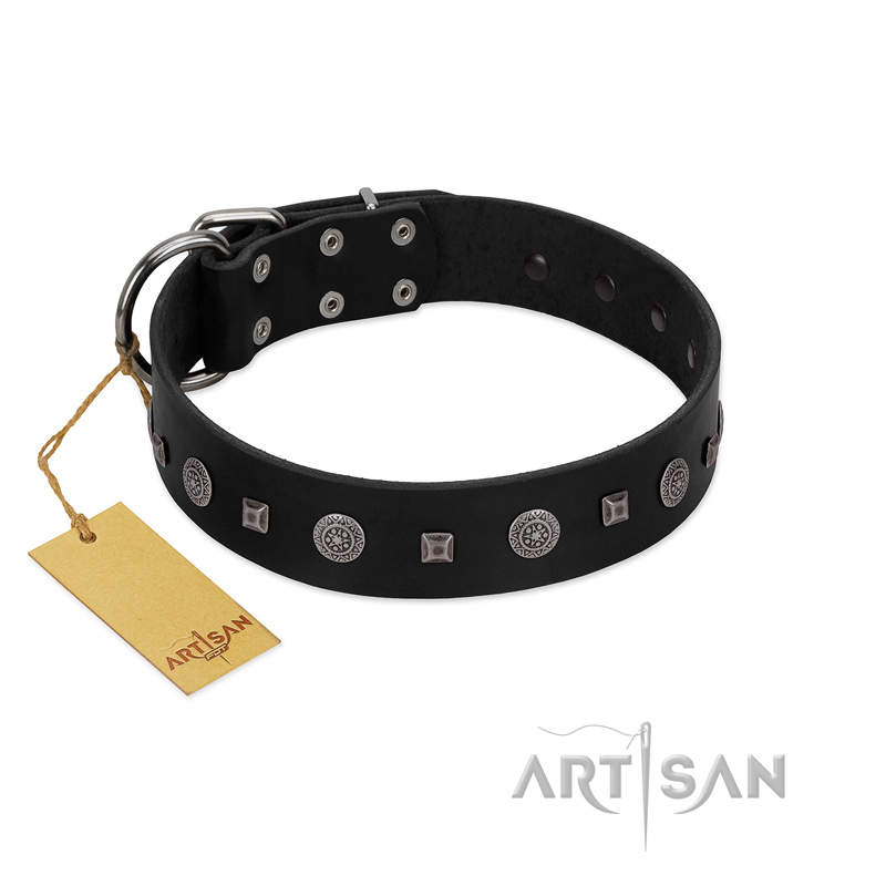 "Mr. Elegance" Designer FDT Artisan Black Leather Dogue de Bordeaux Collar with Silver-Like Studs