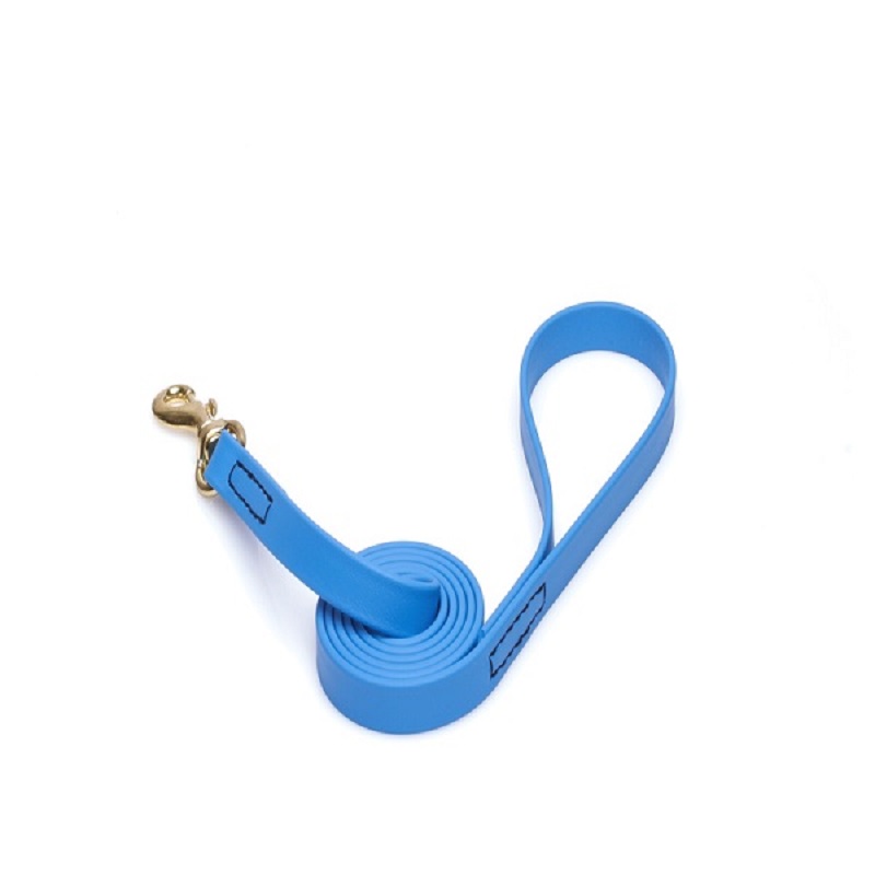 Blue Waterproof Dogue de Bordeaux Leash Made of Biothane