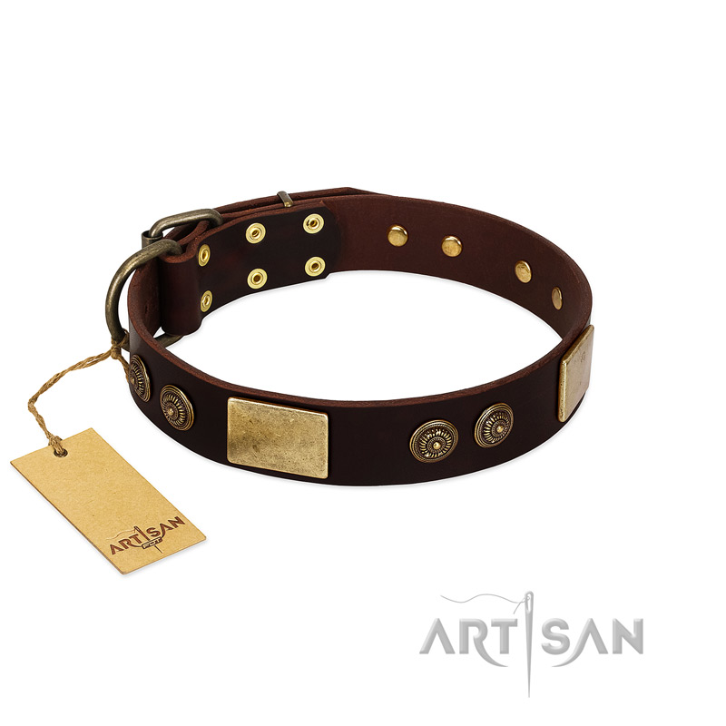 "Bow-Wow Effect" FDT Artisan Brown Leather Dogue de Bordeaux Collar with Plates and Ornate Studs
