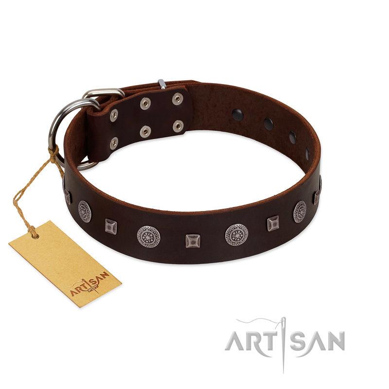 "Pure Sensation" Exclusive FDT Artisan Brown Leather Dogue de Bordeaux Collar with Fancy Brooches and Studs