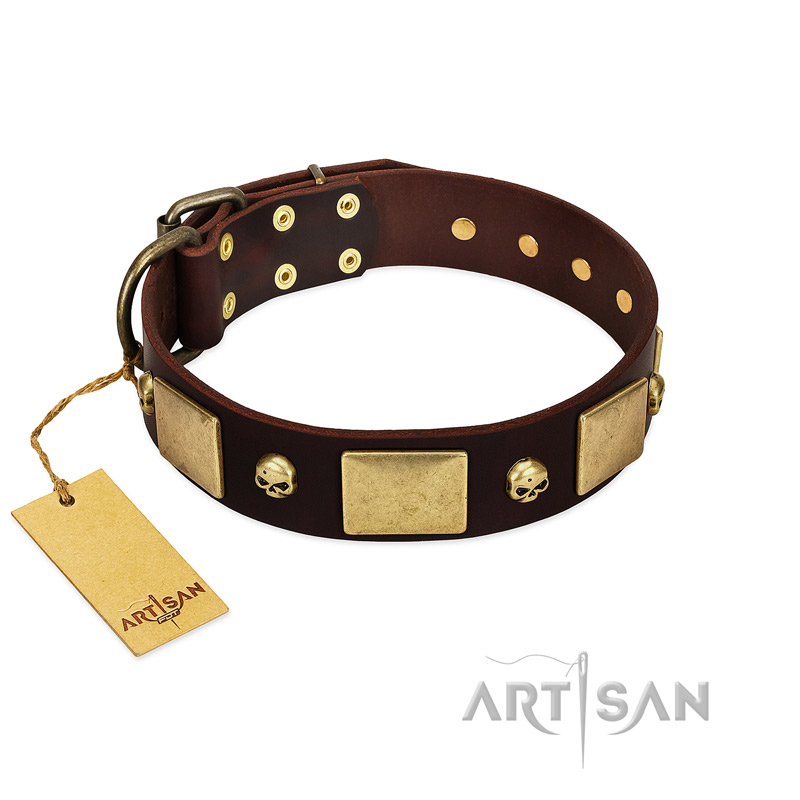 "Heavy Metal" FDT Artisan Brown Leather Dogue de Bordeaux Collar with Old Bronze-like Skulls and Plates