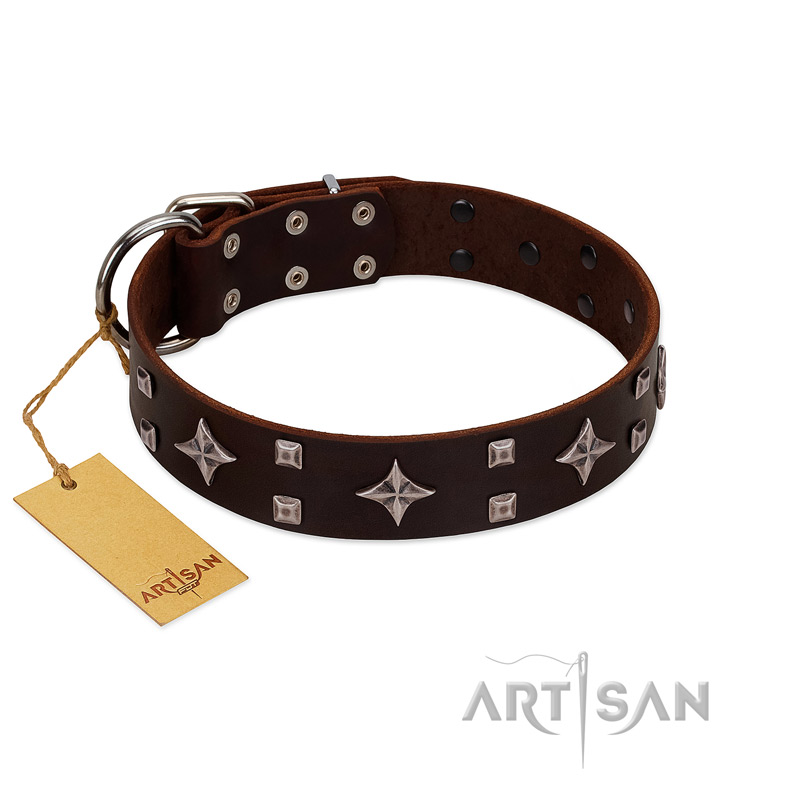 "Trendy Candy" FDT Artisan Brown Leather Dogue de Bordeaux Collar Adorned with Stars and Tiny Squares