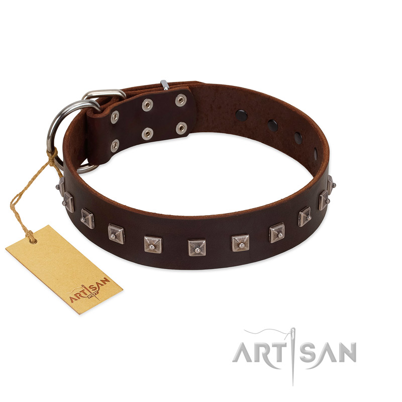 "Kingly Grace" FDT Artisan Brown Leather Dogue de Bordeaux Collar with Silver-like Dotted Studs