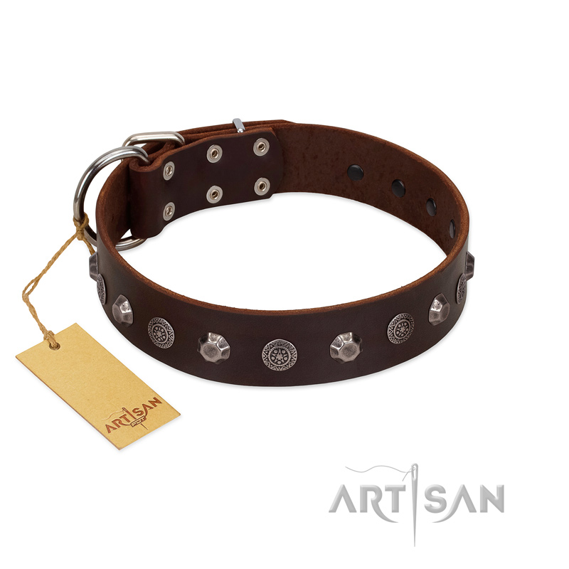 "Dark Chocolate" Handmade FDT Artisan Brown Leather Dogue de Bordeaux Collar with Studs