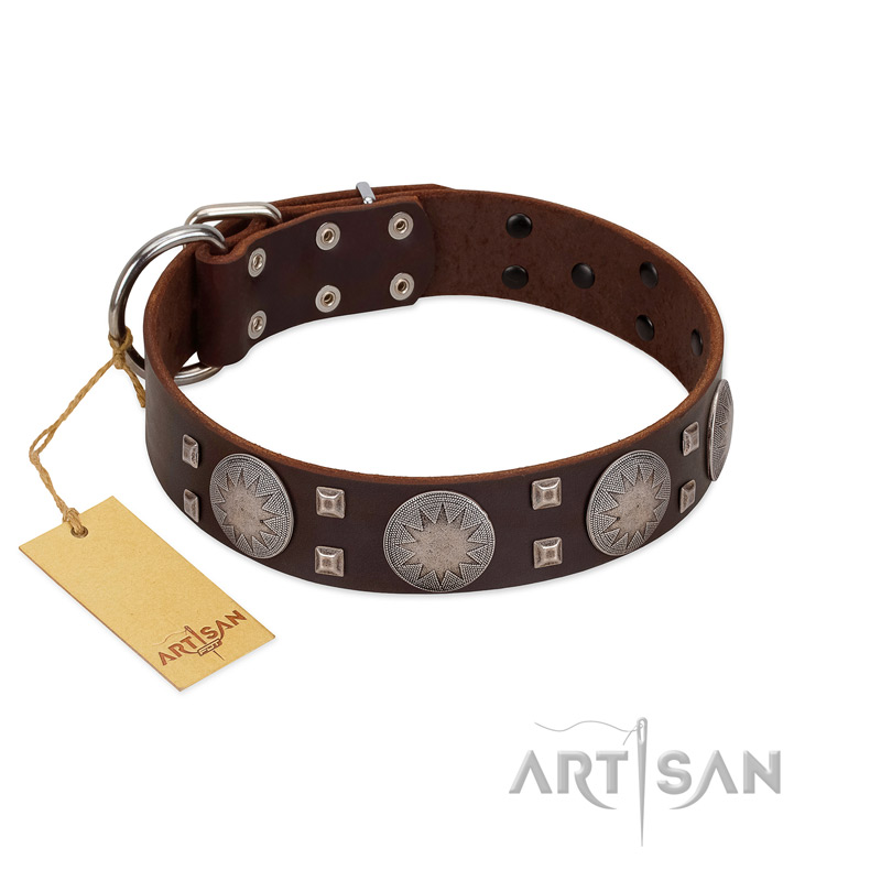 "Sun in Barchans" Modern FDT Artisan Brown Leather Dogue de Bordeaux Collar with Engraved Stars on Round Plates and Studs
