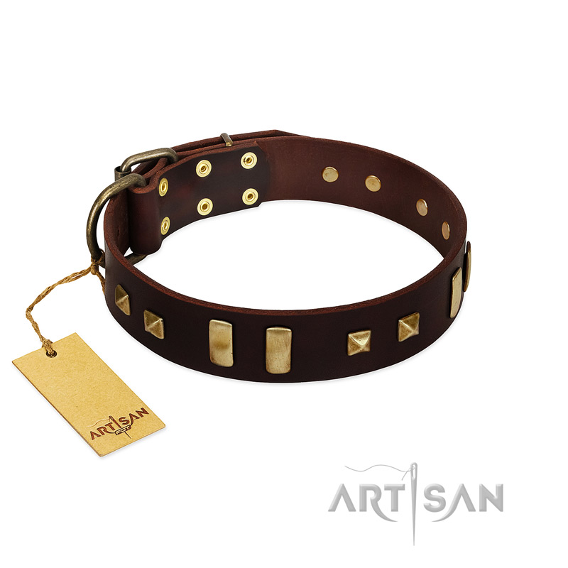 "Choco Delight" FDT Artisan Brown Leather Dogue de Bordeaux Collar with Old Bronze-like Plates and Studs