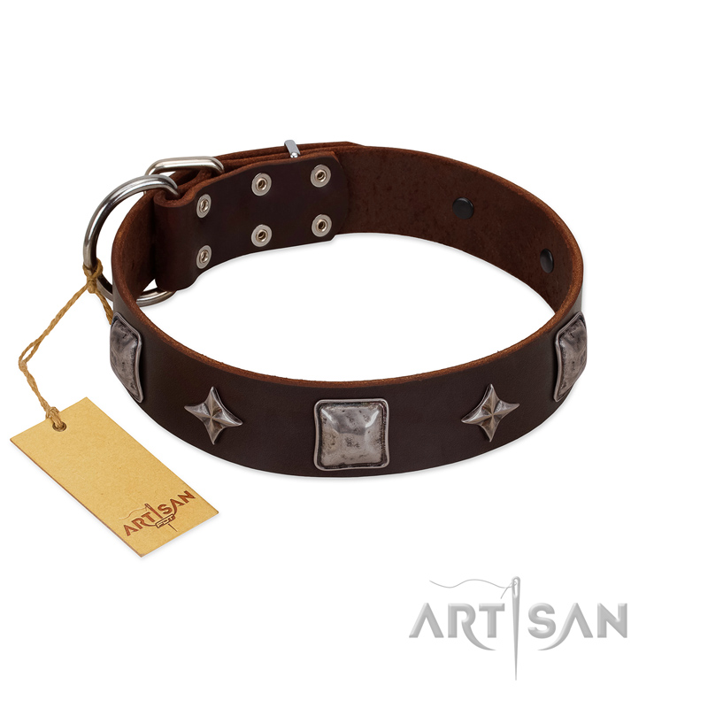 "Cold Star" Designer FDT Artisan Brown Leather Dogue de Bordeaux Collar with Silver-Like Adornments