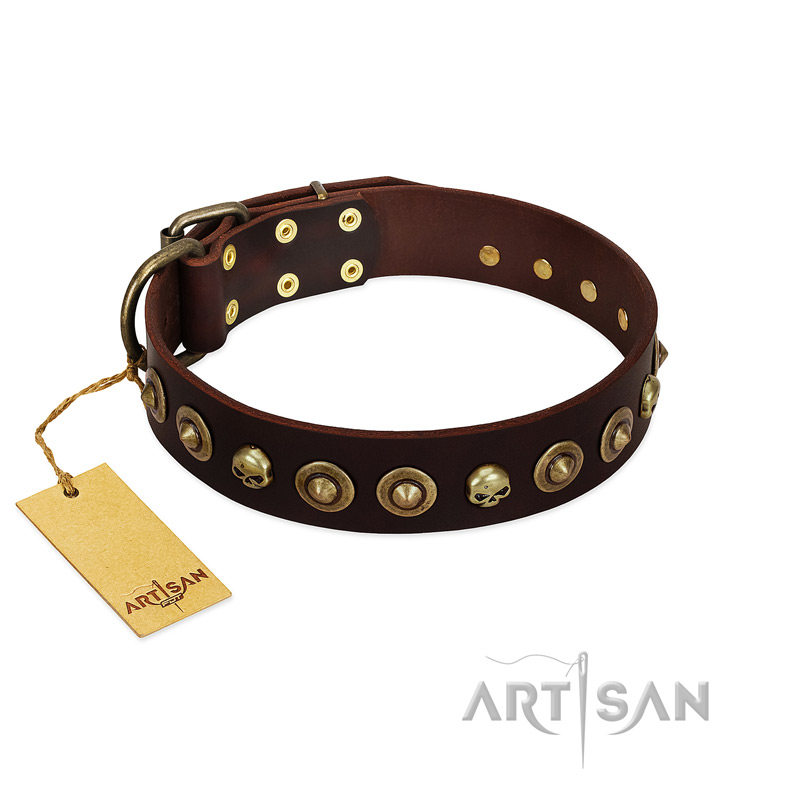 "Street Fashion" FDT Artisan Brown Leather Dogue de Bordeaux Collar Adorned with Circles and Skulls