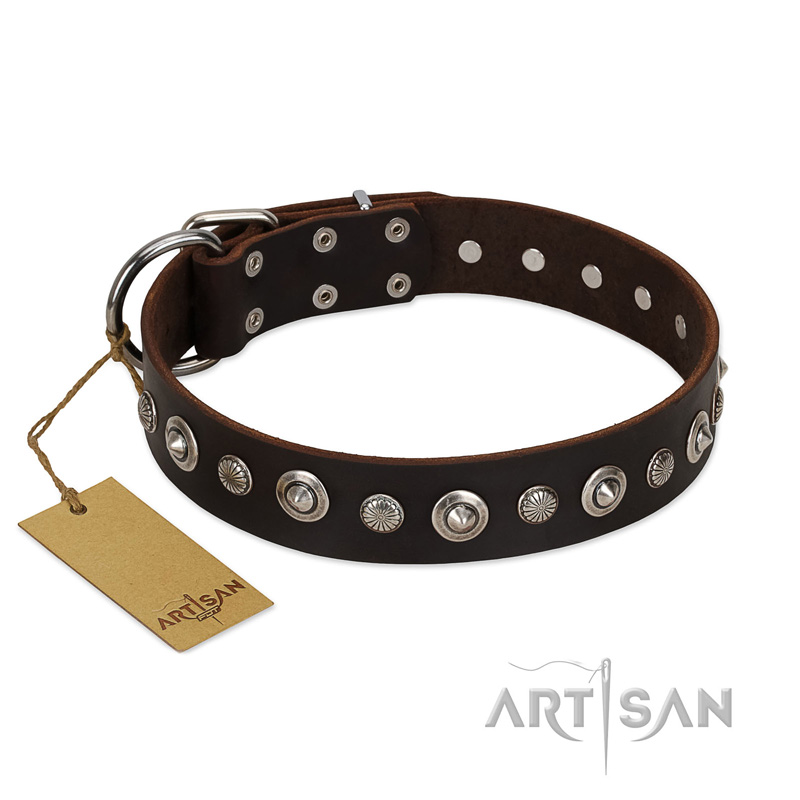 "Gorgeous Shields" FDT Artisan Brown Leather Dogue de Bordeaux Collar with Old Silver-like Circles and Small Camomiles