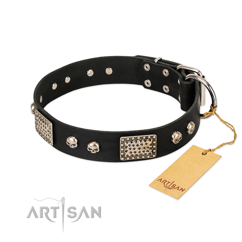 "Pirates Gold" FDT Artisan Black Leather Dogue de Bordeaux Collar with Old Silver Look Plates and Skulls