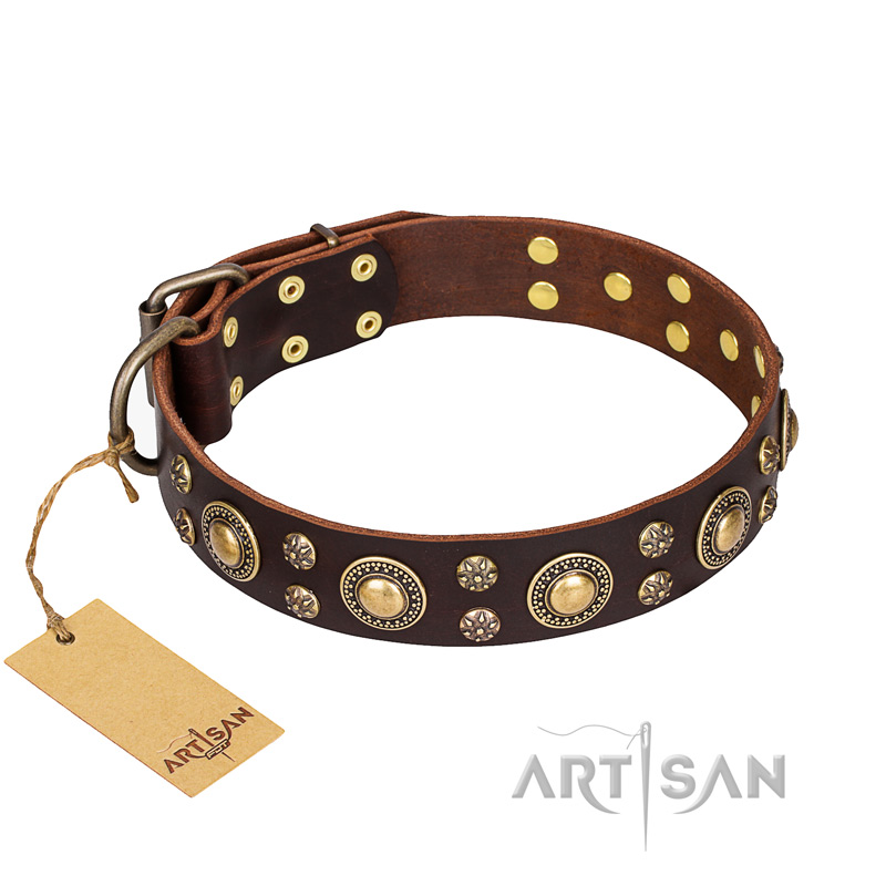 "Flower Melody" FDT Artisan Brown Leather Dogue de Bordeaux Collar with Mixed Studs