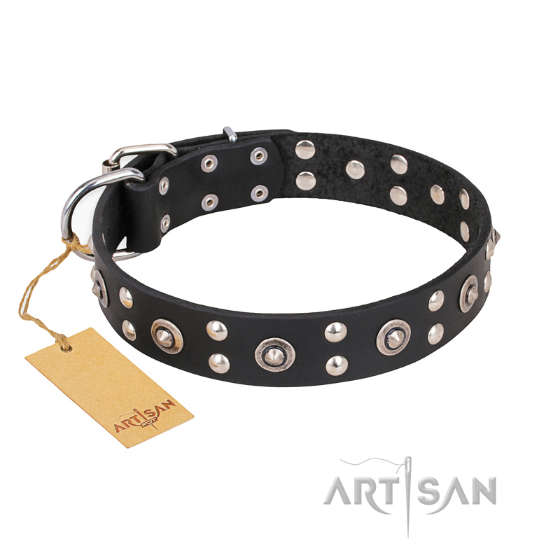 "Refined Essence" FDT Artisan Black Leather Dogue de Bordeaux Collar with Silvery Studs