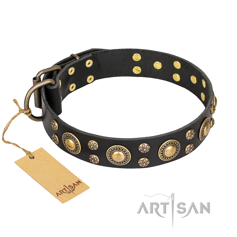 "Baroque Chic" FDT Artisan Studded Black Leather Dogue de Bordeaux Collar