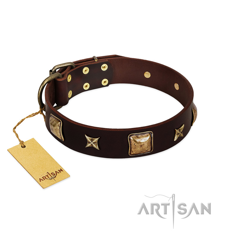 "Choco Dreams" FDT Artisan Brown Leather Dogue de Bordeaux Collar with Squares and Stars