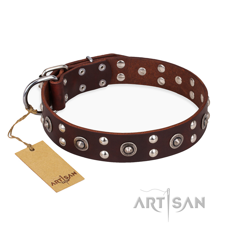 "Pirate Treasure" FDT Artisan Exciting Brown Leather Dogue de Bordeaux Collar with Studs