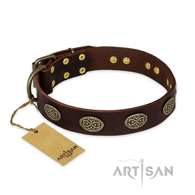 "Chocolate kiss" FDT Artisan Leather Dogue de Bordeaux Collar with Old Bronze Look Oval Plates