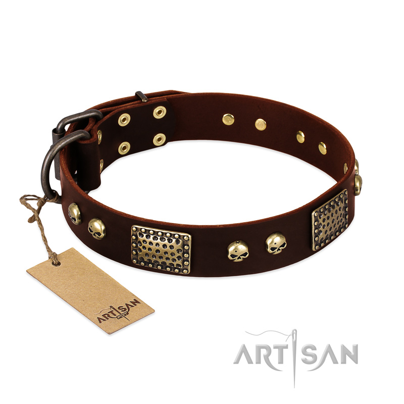 "Magic Amulet" Brown Leather Dogue de Bordeaux Collar with Skulls and Plates