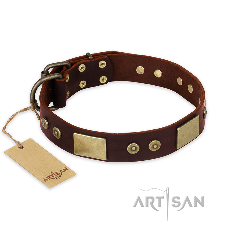"Shining Armour" FDT Artisan Brown Leather Dogue de Bordeaux Collar with Decorations