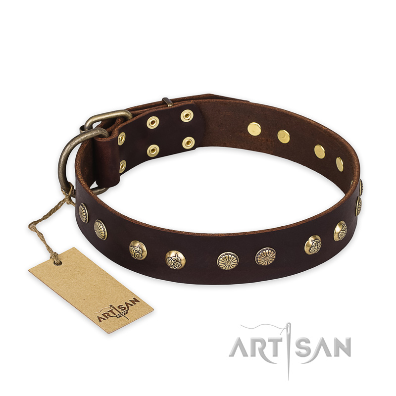 "Bronze Sheen" FDT Artisan Leather Dogue de Bordeaux Collar with Brass-Plated Studs