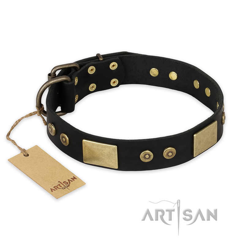 "Spanish night" FDT Artisan Fashionable Leather Walking Dogue de Bordeaux Collar