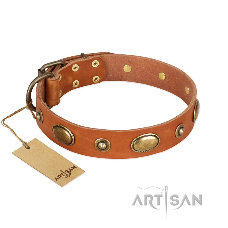 "Visual Magic" FDT Artisan Tan Leather Dogue de Bordeaux Collar for Daily Activities