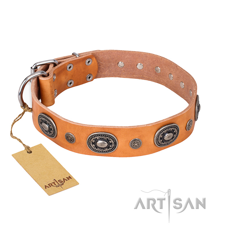 "Twinkle Twinkle" FDT Artisan Incredible Studded Tan Leather Dogue de Bordeaux Collar
