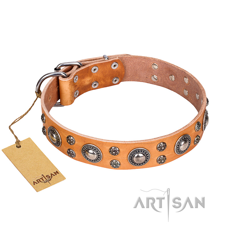 "Extra Sparkle" FDT Artisan Handcrafted Tan Leather Dogue de Bordeaux Collar