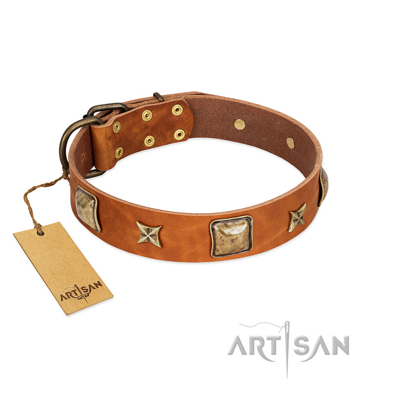 "Celtic Tunes" FDT Artisan Tan Leather Dogue de Bordeaux Collar Adorned with Stars and Squares