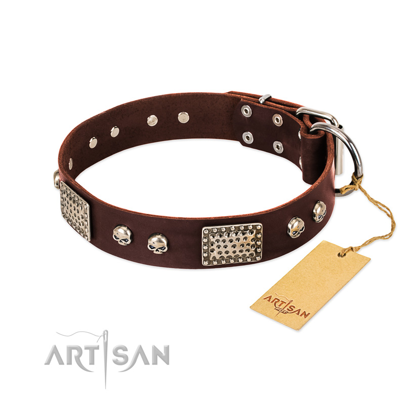 "Pirate Skull" FDT Artisan Brown Leather Dogue de Bordeaux Collar with Old Silver Look Plates and Skulls