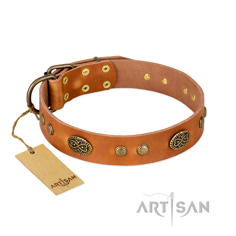 "Sun Beams" FDT Artisan Tan Leather Dogue de Bordeaux Collar with Decorations