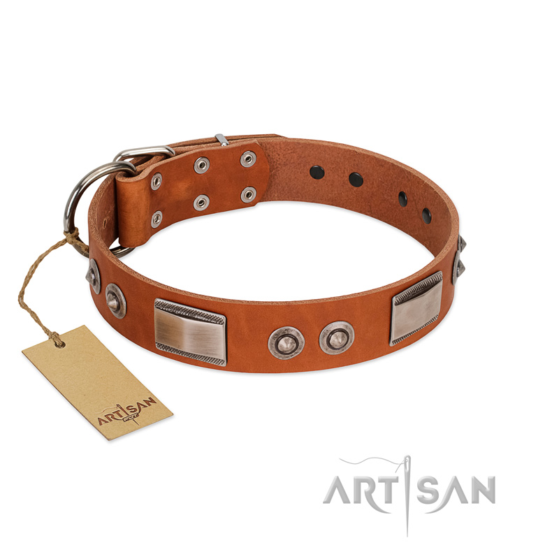 "Pawsy Glossy" FDT Artisan Exclusive Tan Leather Dogue de Bordeaux Collar 1 1/2 inch (40 mm) wide