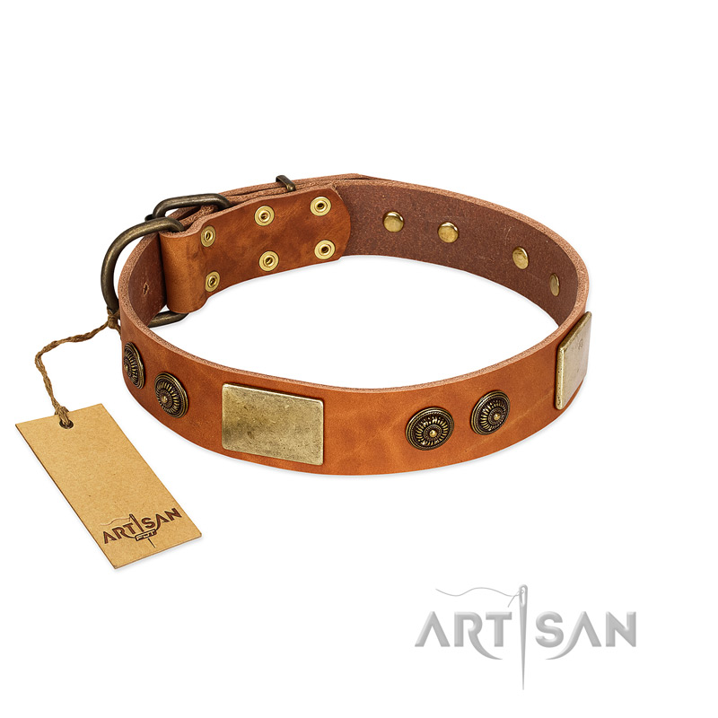 "Bronze Century" FDT Artisan Tan Leather Dogue de Bordeaux Collar with Plates and Brooches with Cool Ornament