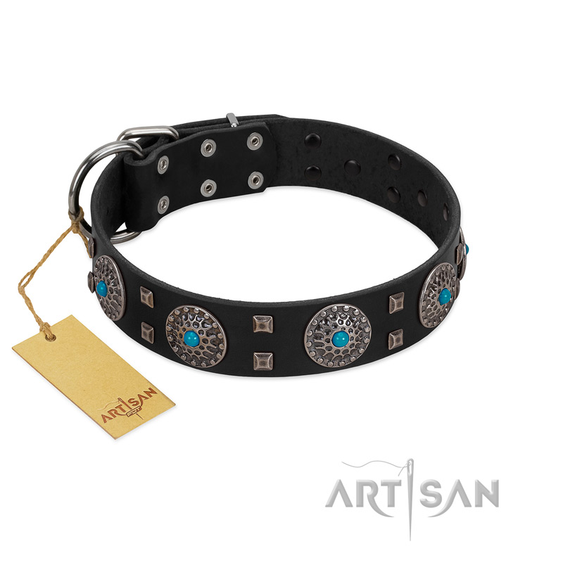 "Boundless Blue" FDT Artisan Black Leather Dogue de Bordeaux Collar with Chrome Plated Brooches and Square Studs