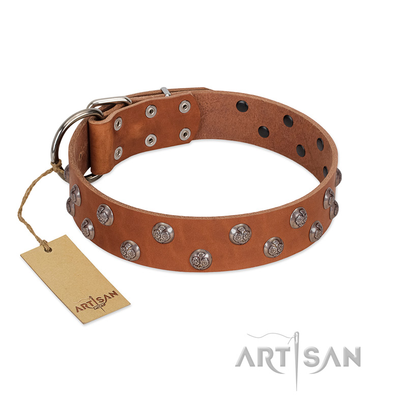 "Waltz of the Flowers" Handmade FDT Artisan Tan Leather Dogue de Bordeaux Collar with Chrome-plated Engraved Studs