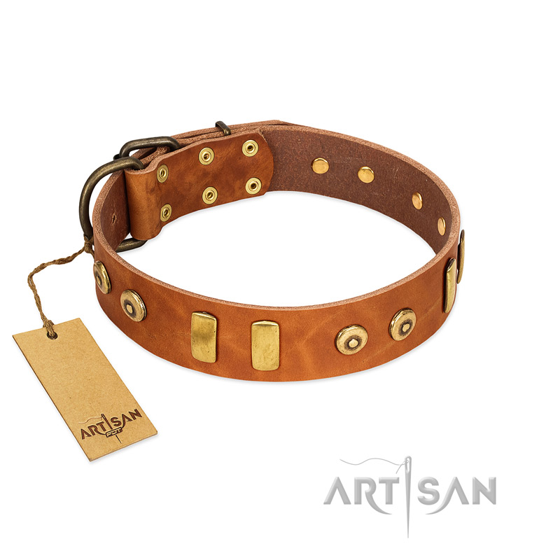 "Egyptian Script" FDT Artisan Tan Leather Dogue de Bordeaux Collar with Plates and Small Studs