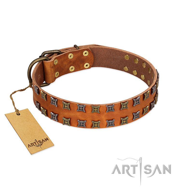 "Terra-cotta" FDT Artisan Tan Leather Dogue de Bordeaux Collar with Two Rows of Studs